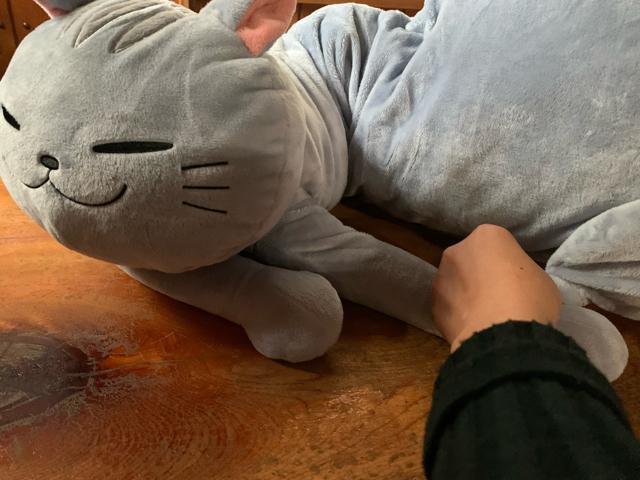  BANDAI DF ?  ˂ʂ85cm    