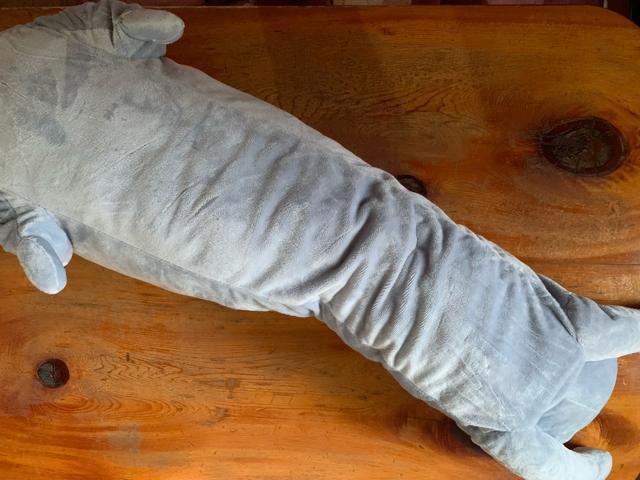  BANDAI DF ?  ˂ʂ85cm    