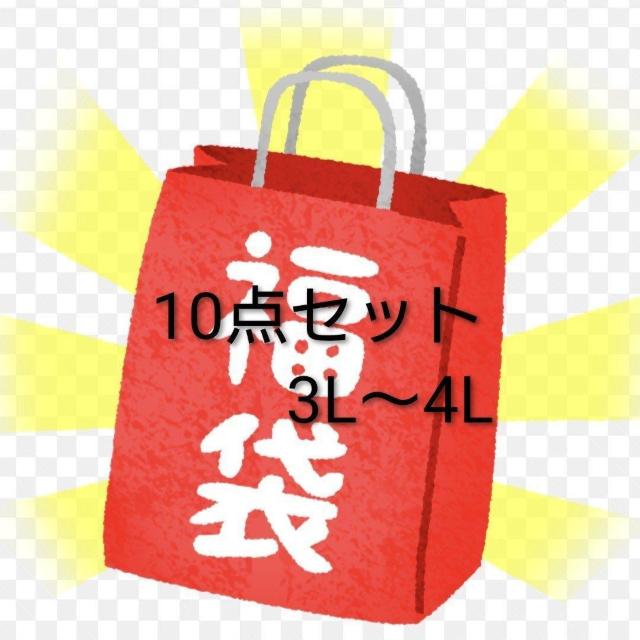 �S���V�i��3L�`4L��10�_�Z�b�g  �� �����t�@�b�V������ 