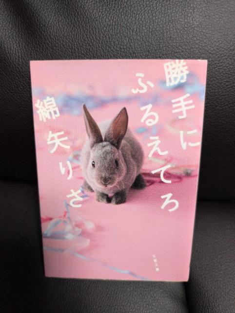 �������IUSED�A����ɂӂ邦�Ă�@�Ȗ�肳  �� �{/�G���� 