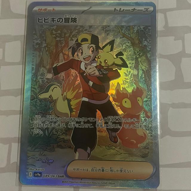 �q�r�L�̖`�� SAR  �� �g���[�f�B���O�J�[�h�� 