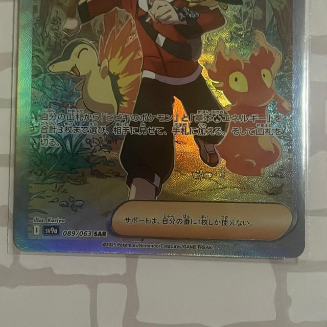 �q�r�L�̖`�� SAR �� �g���[�f�B���O�J�[�h�� 