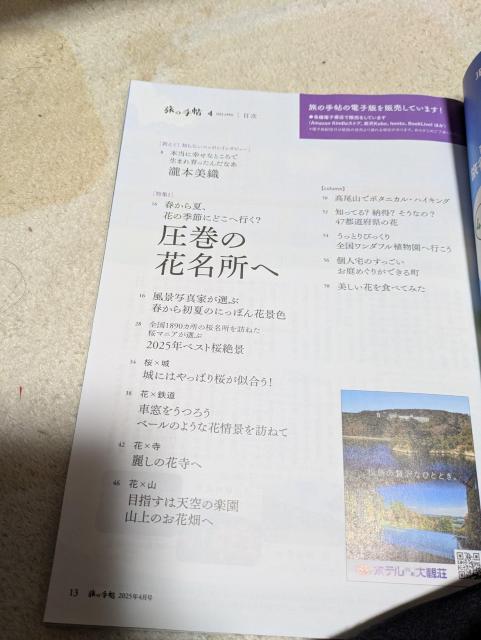 ̎蒟2025N4@fXeBl[VLy[KChubNt  {/G 