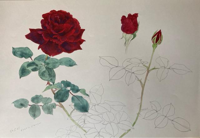 杉山寧素聚成 「二分冊」 額装用図版(雲崗9窟 飛天像・薔薇)2枚付 < ホビー 杉山寧素聚成 「二分冊」 額装用図版(雲崗9窟 飛天像・薔薇)2枚付 < ホビーの