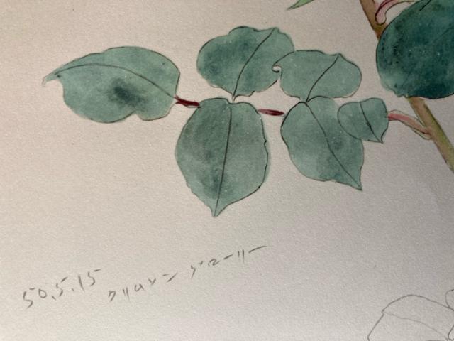 杉山寧素聚成 「二分冊」 額装用図版(雲崗9窟 飛天像・薔薇)2枚付 < ホビー 杉山寧素聚成 「二分冊」 額装用図版(雲崗9窟 飛天像・薔薇)2枚付 < ホビーの