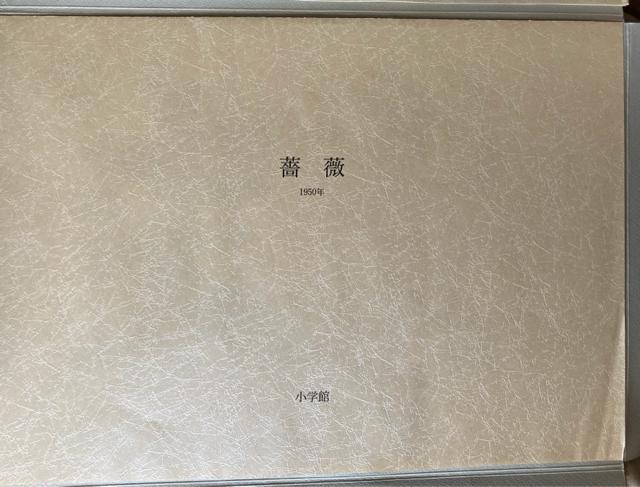 杉山寧素聚成 「二分冊」 額装用図版(雲崗9窟 飛天像・薔薇)2枚付 < ホビー 杉山寧素聚成 「二分冊」 額装用図版(雲崗9窟 飛天像・薔薇)2枚付 < ホビーの