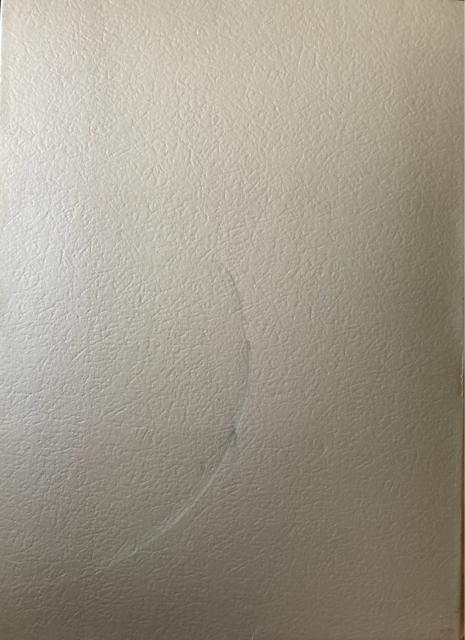 杉山寧素聚成 「二分冊」 額装用図版(雲崗9窟 飛天像・薔薇)2枚付 < ホビー 杉山寧素聚成 「二分冊」 額装用図版(雲崗9窟 飛天像・薔薇)2枚付 < ホビーの