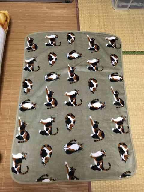 三毛猫のみやけさん・キャラクター柄ブランケット。グレージュ < インテリア/ライフ 三毛猫のみやけさん・キャラクター柄ブランケット。グレージュ < インテリア/ライフの