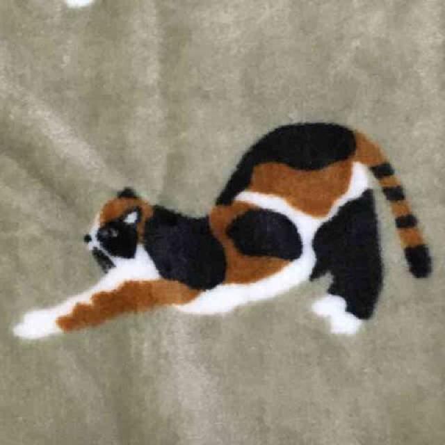 三毛猫のみやけさん・キャラクター柄ブランケット。グレージュ < インテリア/ライフ 三毛猫のみやけさん・キャラクター柄ブランケット。グレージュ < インテリア/ライフの