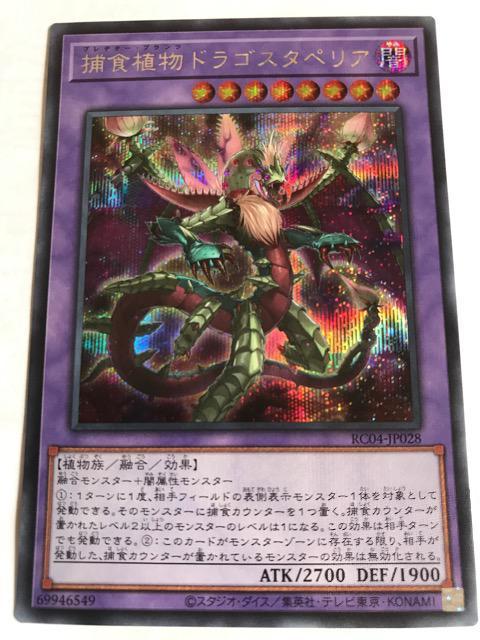 遊戯王 捕食植物ドラゴスタペリア RC04-JP028 シークレットレア < トレーディングカード 遊戯王 捕食植物ドラゴスタペリア RC04-JP028 シークレットレア < トレーディングカードの