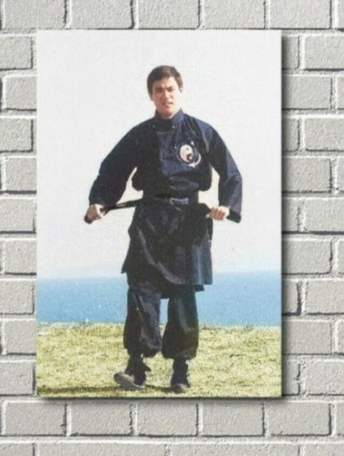 新品タペストリー☆ブルースリー截拳道☆李小龍 < インテリア/ライフ 新品タペストリー☆ブルースリー截拳道☆李小龍 < インテリア/ライフの