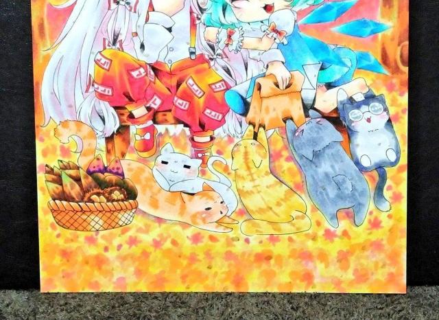 東方project【藤原妹紅&チルノ】自作イラスト < アニメ/コミック/キャラクター 東方project【藤原妹紅&チルノ】自作イラスト < アニメ/コミック/キャラクターの