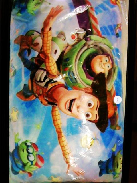 トイすト〜リーマクら43×63センチ うすいブルーけい < ホビー  トイすト〜リーマクら43×63センチ うすいブルーけい  < ホビーの