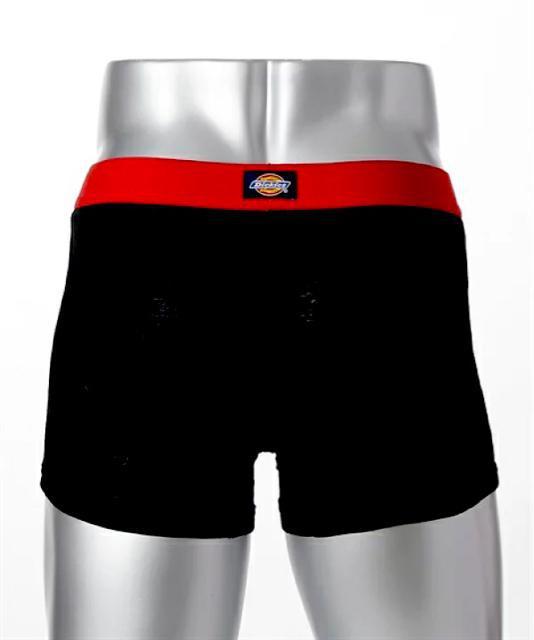 yVizDickies gjbg{NT[u[th LLTCY 3Zbg {NT[pc fBbL[Y  jt@bV 