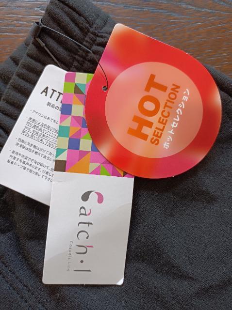 CatchDl~̖\pcHotVi^Ot_炩SnQ 