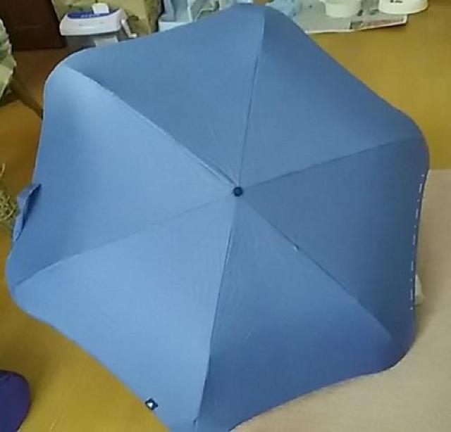 @^PuRain Smile LotusvJp܂肽ݎP   t@bV 