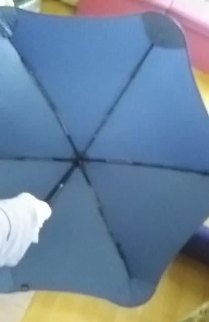 @^PuRain Smile LotusvJp܂肽ݎP  t@bV 