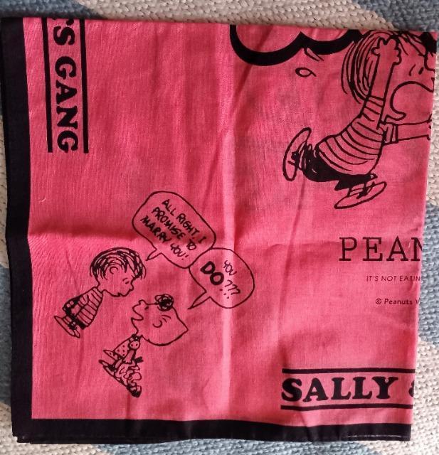 SNOOPY����n���J�`�@��������