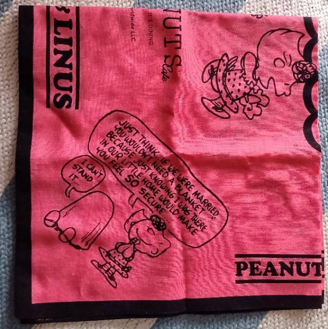 SNOOPY����n���J�`�@��������