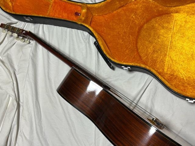 Fernandes OhRT[gM^[@GC-20 Ǖi1926-01-4  zr[ 