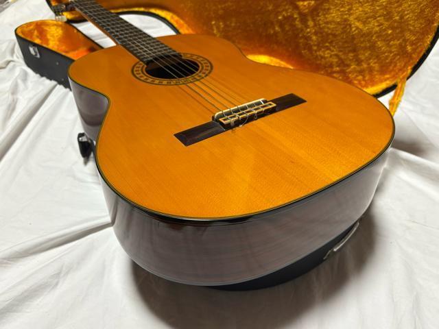 Fernandes OhRT[gM^[@GC-20 Ǖi1926-01-4  zr[ 