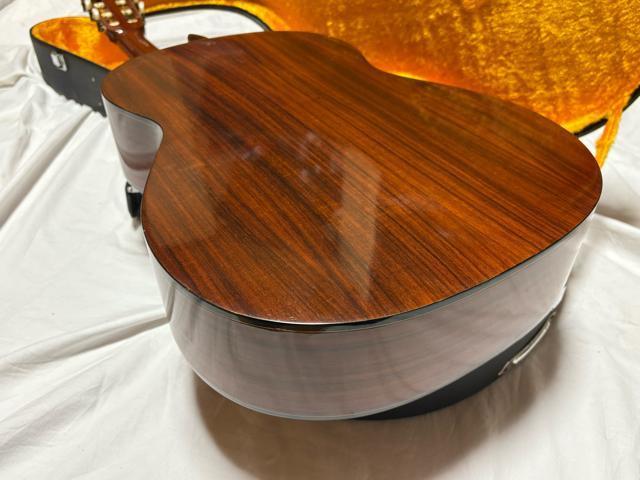 Fernandes OhRT[gM^[@GC-20 Ǖi1926-01-4  zr[ 