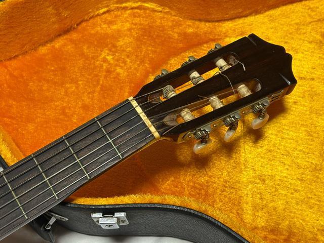 Fernandes OhRT[gM^[@GC-20 Ǖi1926-01-4  zr[ 