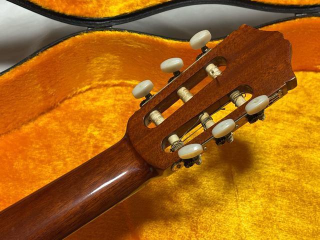 Fernandes OhRT[gM^[@GC-20 Ǖi1926-01-4  zr[ 