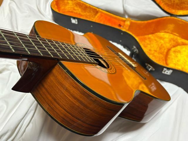 Fernandes OhRT[gM^[@GC-20 Ǖi1926-01-4  zr[ 