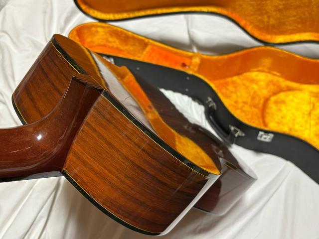 Fernandes OhRT[gM^[@GC-20 Ǖi1926-01-4  zr[ 