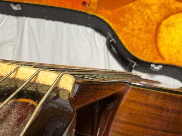 Fernandes OhRT[gM^[@GC-20 Ǖi1926-01-4  zr[ 