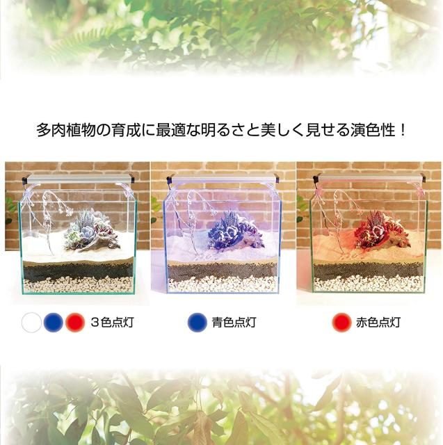 ジェックス クリアLED パワーIII 300 30cm 水槽用3色LED < ペット/手芸/園芸  ジェックス クリアLED パワーIII 300 30cm 水槽用3色LED < ペット/手芸/園芸の