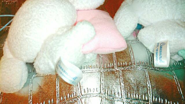 Vi l` Zbg NbV ʂ Vi[ TI   