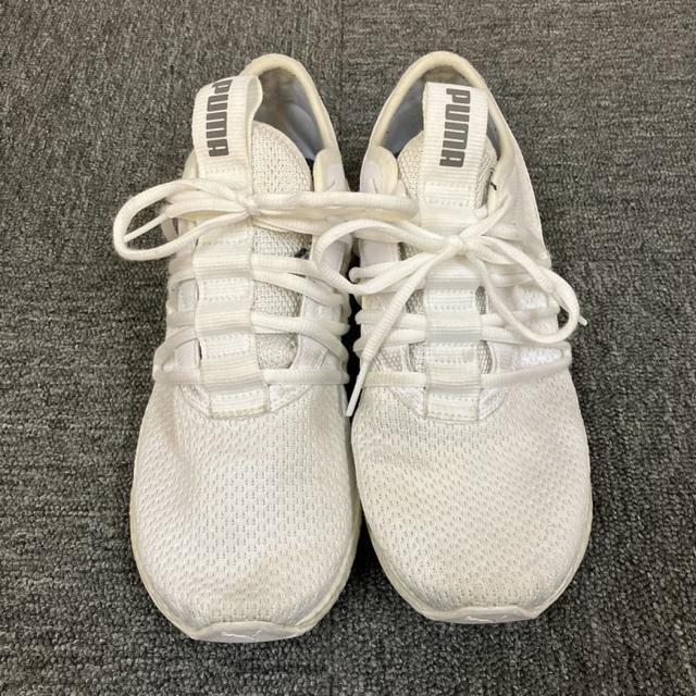 即決 PUMA NRGY Star スニーカー 25.5cm < ブランド  即決 PUMA NRGY Star スニーカー 25.5cm < ブランドの