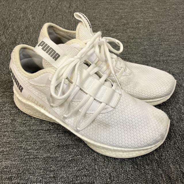 即決 PUMA NRGY Star スニーカー 25.5cm < ブランド  即決 PUMA NRGY Star スニーカー 25.5cm < ブランドの