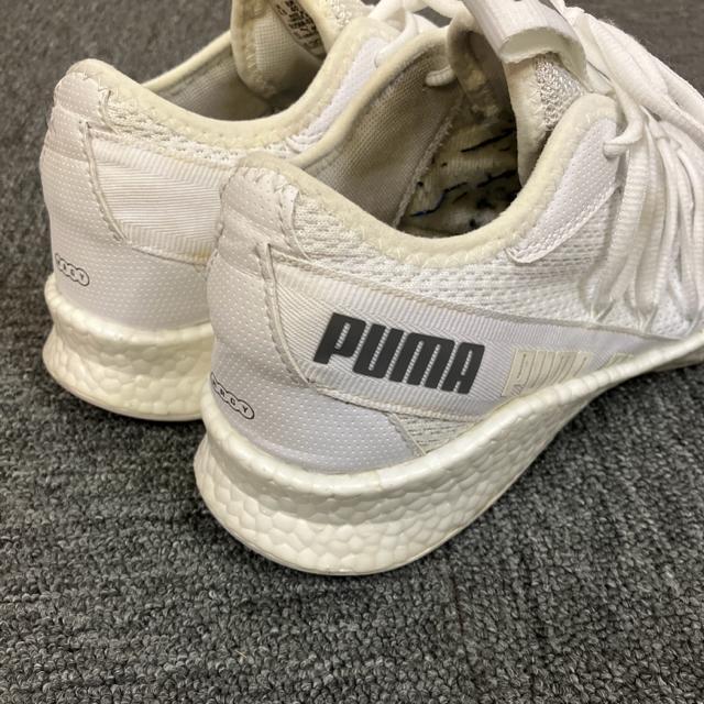 即決 PUMA NRGY Star スニーカー 25.5cm < ブランド  即決 PUMA NRGY Star スニーカー 25.5cm < ブランドの