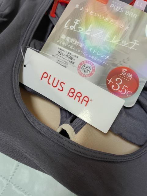 [hJbvtقƃXgb`Ci[Vip[v  t@bV 