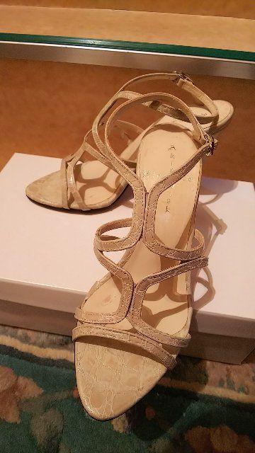 Akira Osaki T_   t@bV 