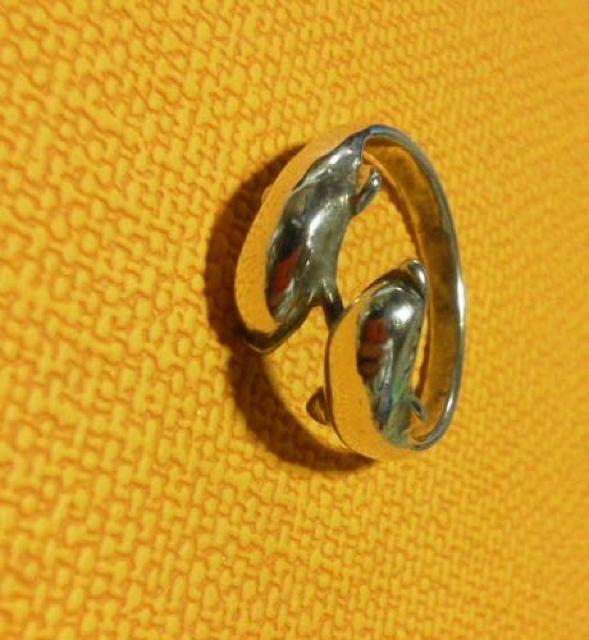 �V���o�[�����O  �C���J 13.5��  �� �����A�N�Z�T���[/���v�� 