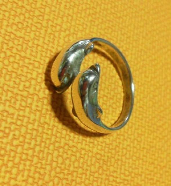 �V���o�[�����O  �C���J 13.5�� �� �����A�N�Z�T���[/���v�� 