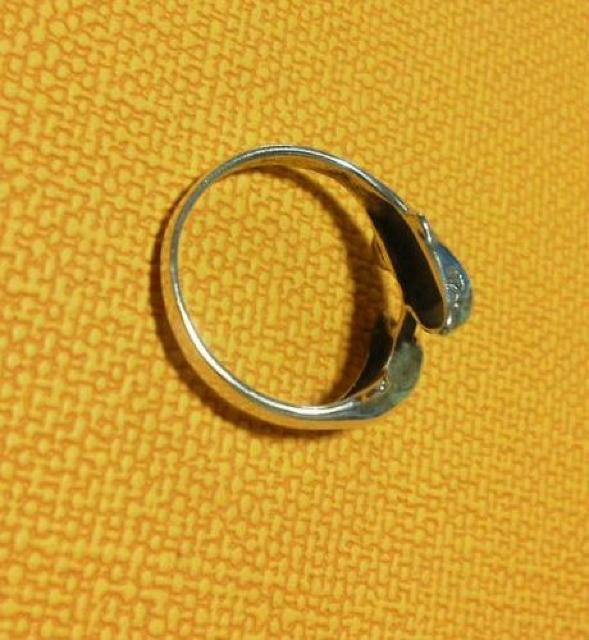 �V���o�[�����O  �C���J 13.5�� �� �����A�N�Z�T���[/���v�� 