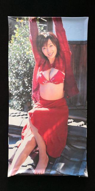 ☆井上和香 ☆抱き枕カバー 新品 送料無料 < タレントグッズ  ☆井上和香 ☆抱き枕カバー 新品 送料無料  < タレントグッズの