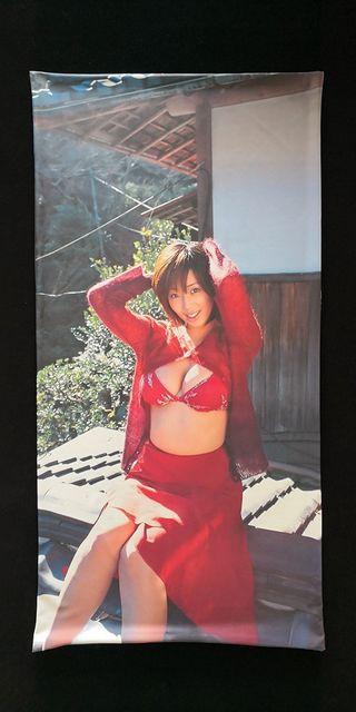 ☆井上和香 ☆抱き枕カバー 新品 送料無料 < タレントグッズ  ☆井上和香 ☆抱き枕カバー 新品 送料無料 < タレントグッズの