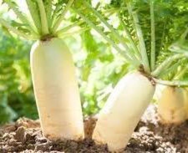 サザン、原由子、2枚組ベストアルバム、マザー、美品、+選べる粗品プレゼント!安心匿名の全国送料無料です!(^o^)/ < タレントグッズ  サザン、原由子、2枚組ベストアルバム、マザー、美品、+選べる粗品プレゼント!安心匿名の全国送料無料です!(^o^)/ < タレントグッズの