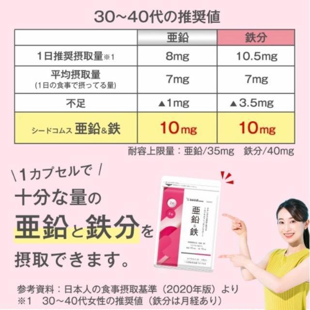 亜鉛&鉄 サプリメント 約3ヵ月分 栄養機能食品 健康食品 < グルメ/ドリンク  亜鉛&鉄 サプリメント 約3ヵ月分 栄養機能食品 健康食品 < グルメ/ドリンクの