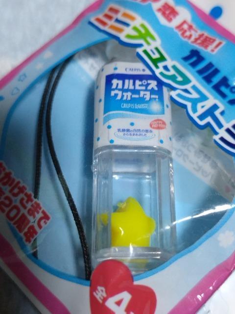 JsXEH[^[@ybg{ĝ܂@QZbg  zr[ 