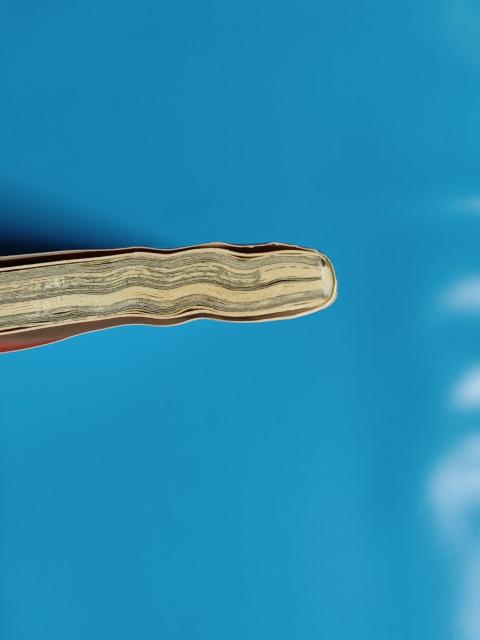 񔄕is[X늪  Aj/R~bN/LN^[ 