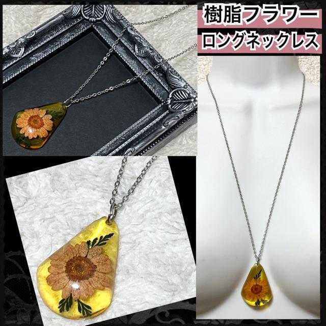 ySALE/Vizt[OlbNX/sN   ANZT[/v 