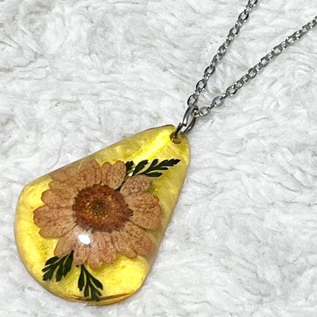 ySALE/Vizt[OlbNX/sN  ANZT[/v 