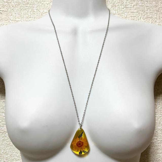 ySALE/Vizt[OlbNX/sN  ANZT[/v 